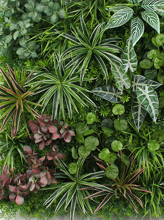 Custom Artificial Green Wall