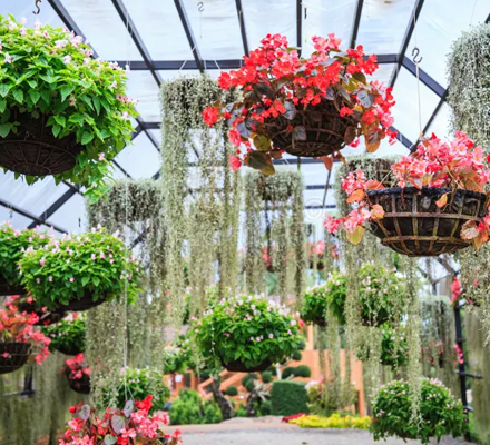 An Easy Way to Bring Spaces to Life
