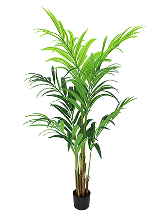 Medium Trees