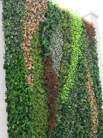 Vertical Green Wall