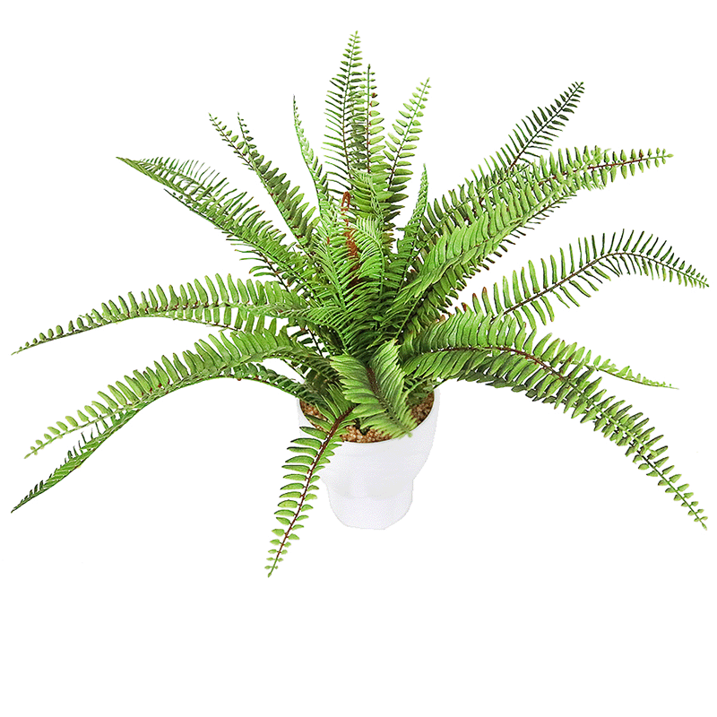 Wholesale Artificial Fern Bonsai