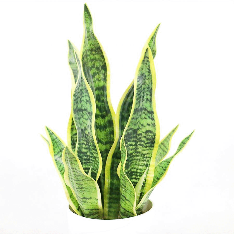 faux sanseviera plant
