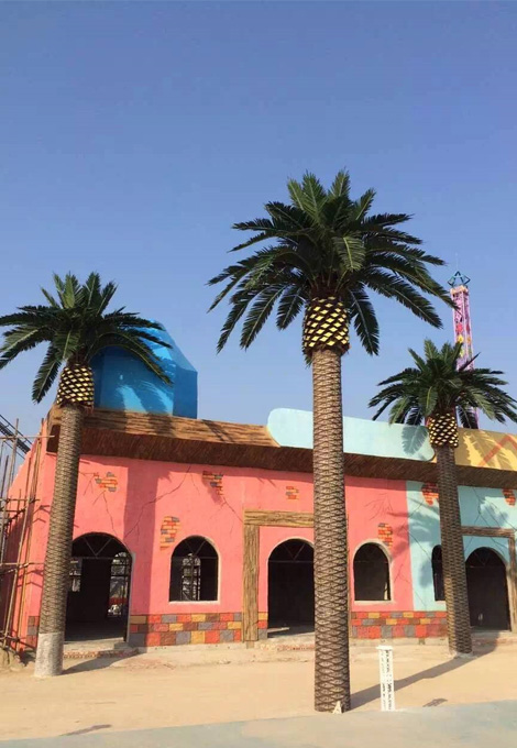 Beijing Park Canary Date Palm 2020