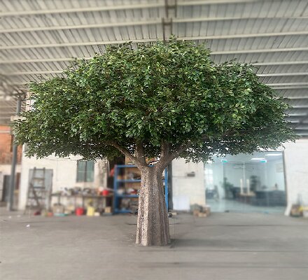 15ft high top quality outdoor landscape banyan tree