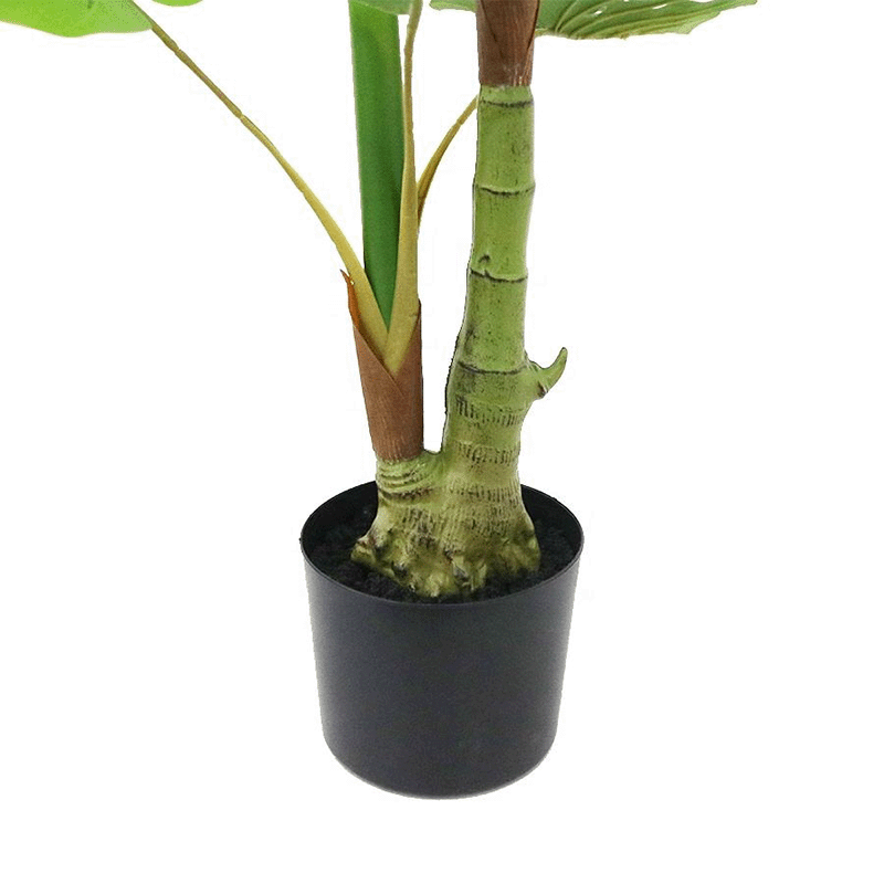 Monstera Tree