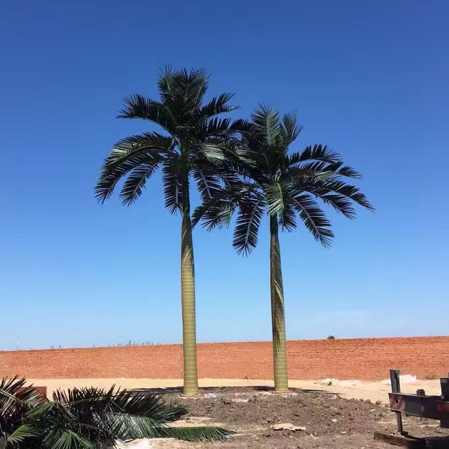 landscape palm tree