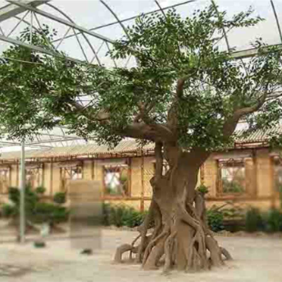 Large Artificial Banyan Tree