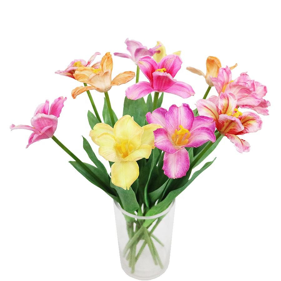 decorative tulip flower 