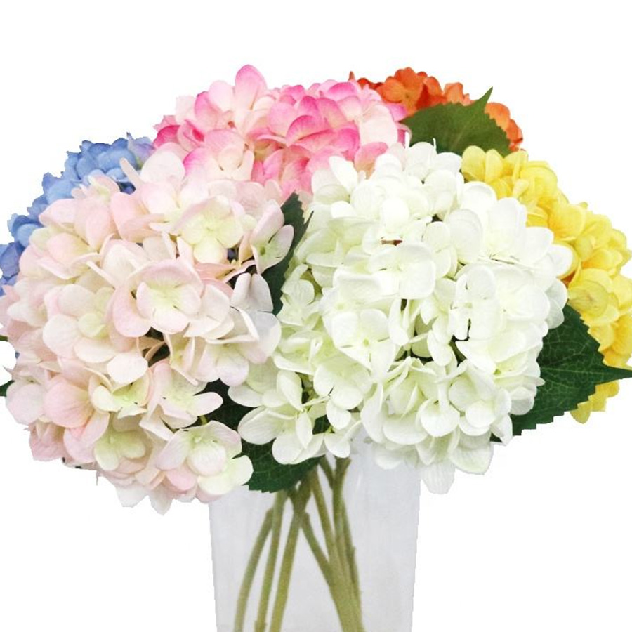 decorative hydrangea flower