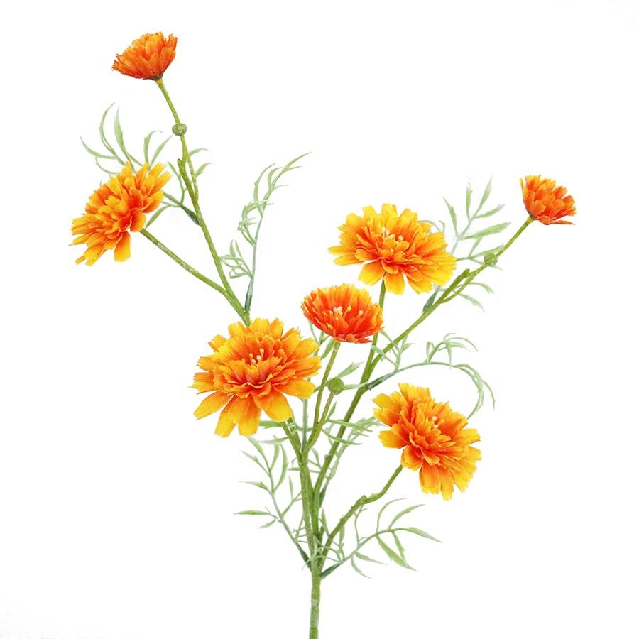 Decorative Daisy