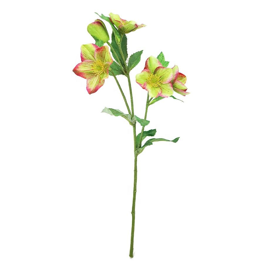 Fake Hellebore Stem