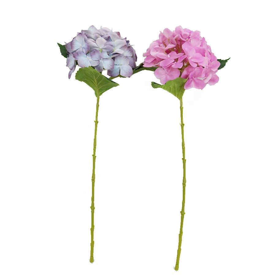 decorative hydrangea stem