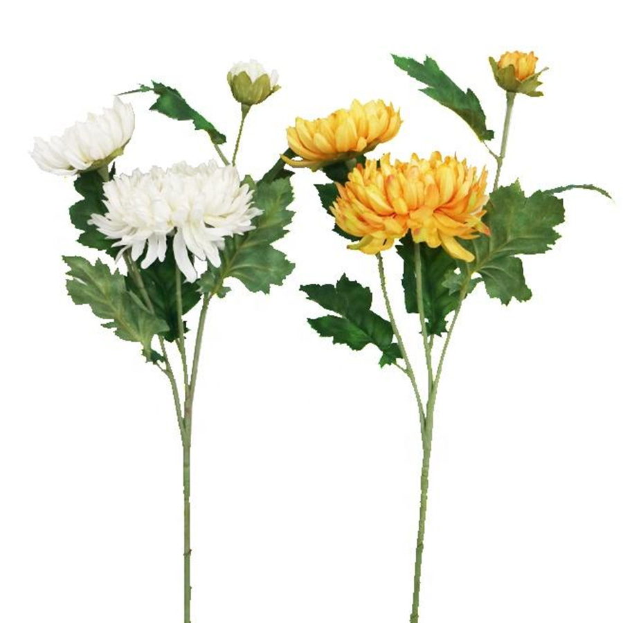 Fake Chrysanthemum 