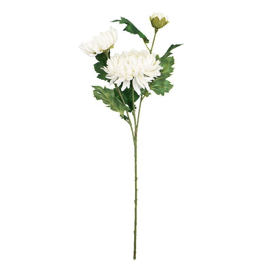 Wholesale Chrysanthemum Stems