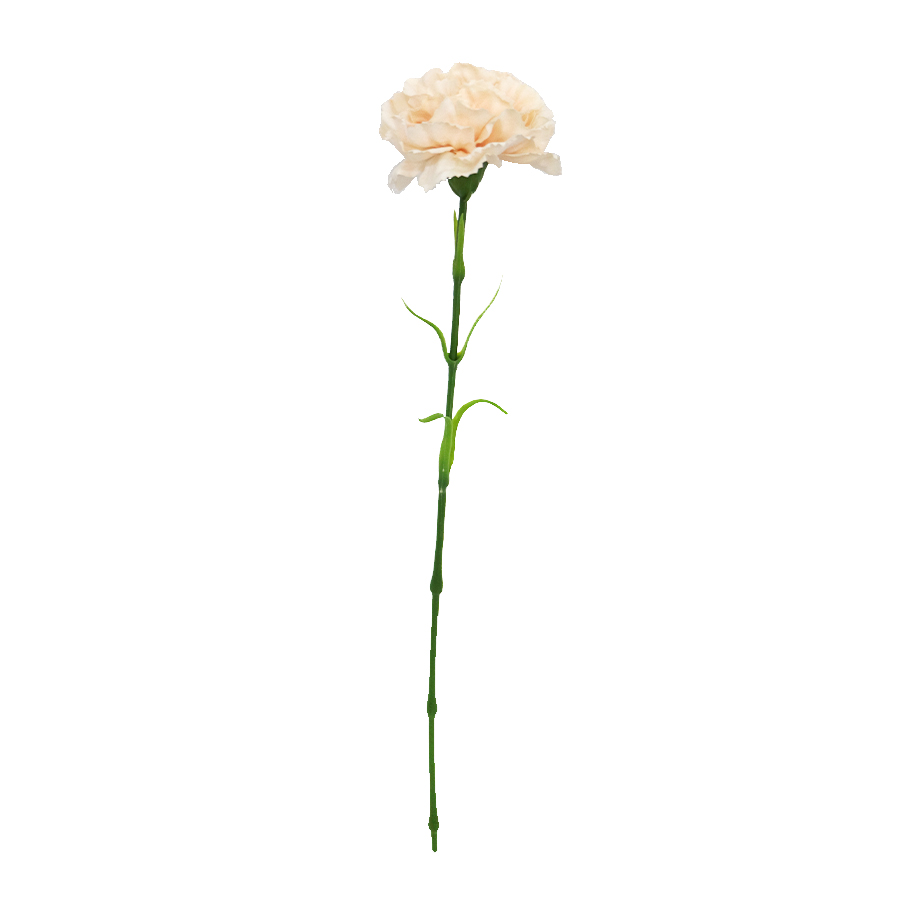 carnation stem wholesale