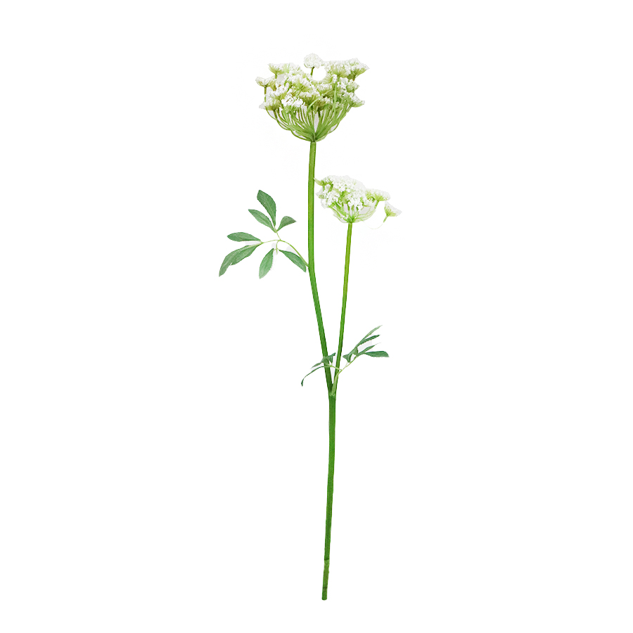 decorative lace flower stem