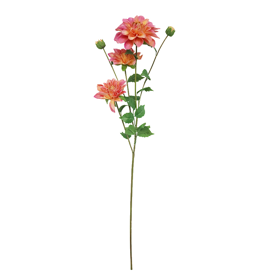 wholesale dahlia stems
