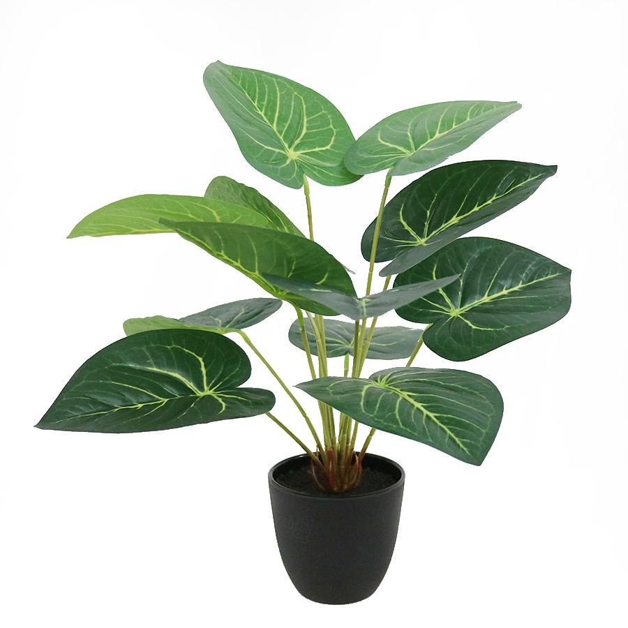Artificial Caladium Plant