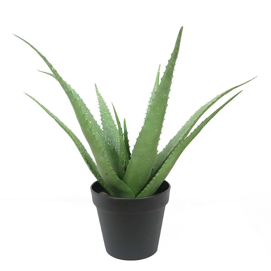 fake potted aloe