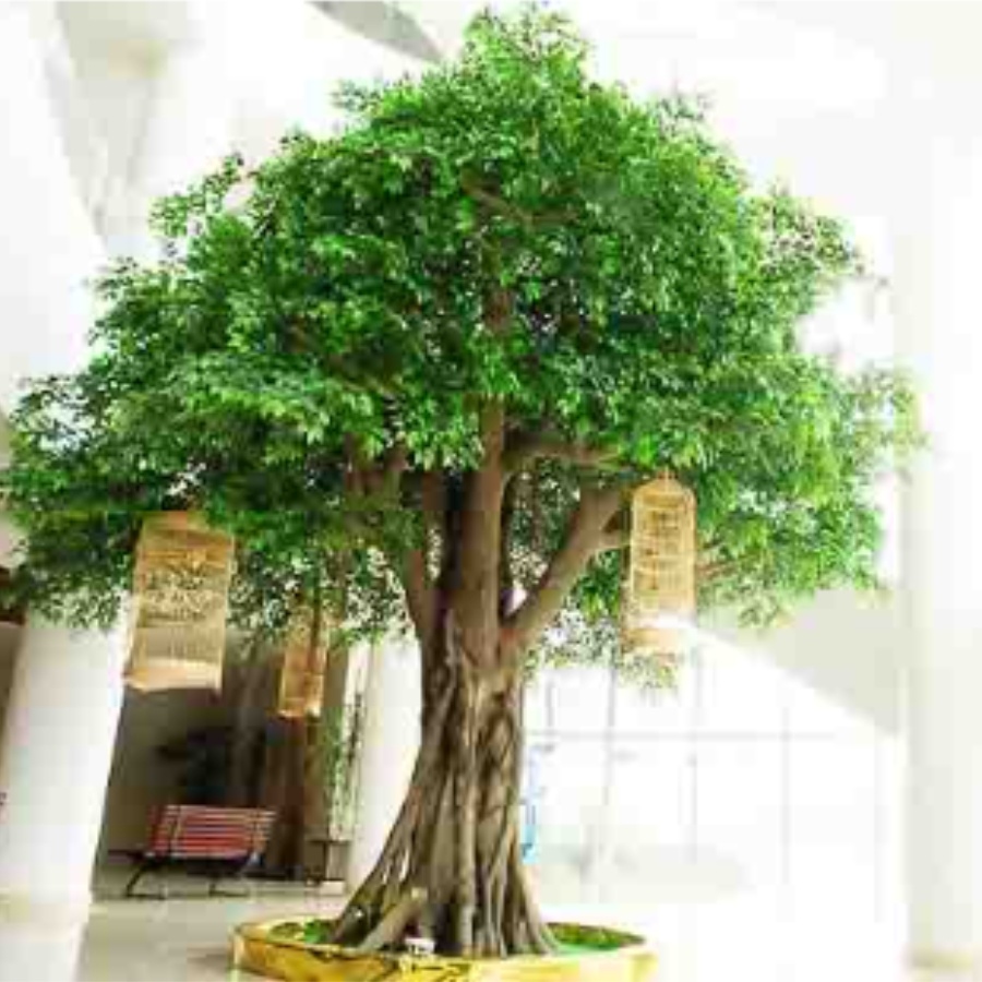 Why Natural Plants Are Not Suitable for Every Space: A Better Solution for Commercial Plant Decoration