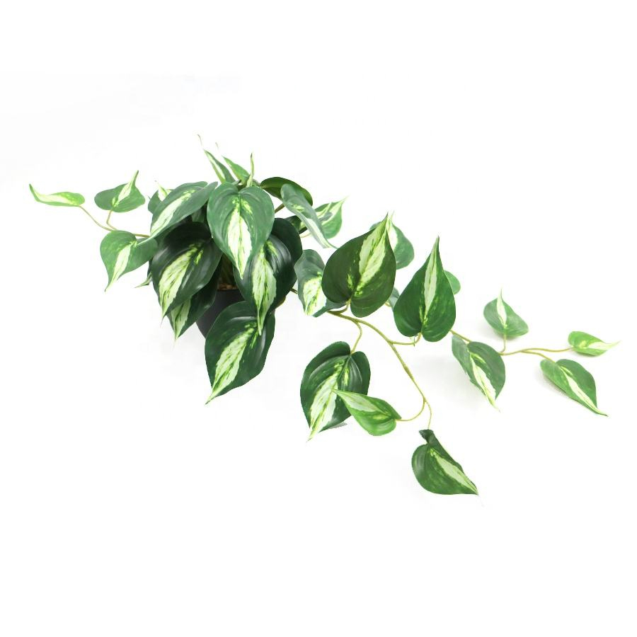fake bonsai