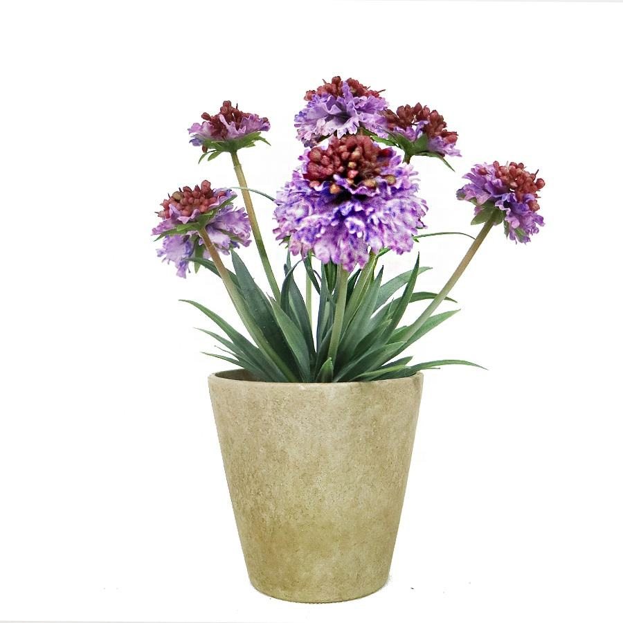 flowers bonsai