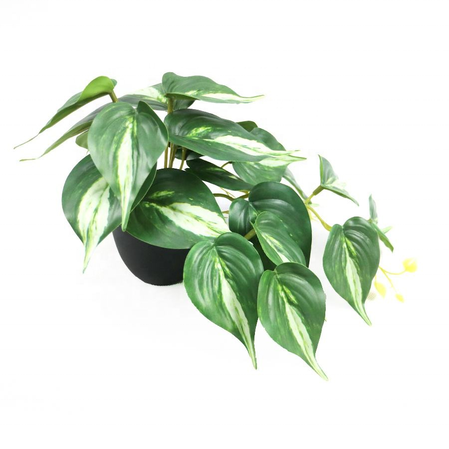 faux pothos plant