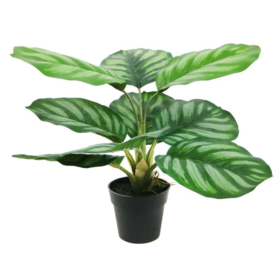 artificial calathea plant