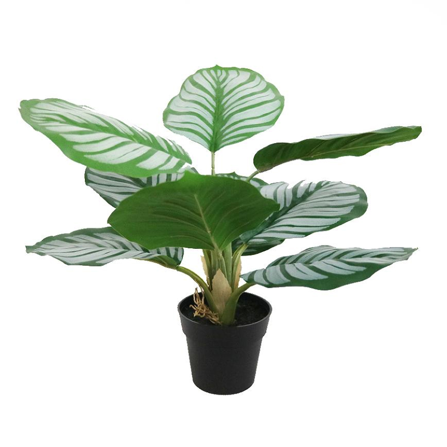 Faux Calathea plant