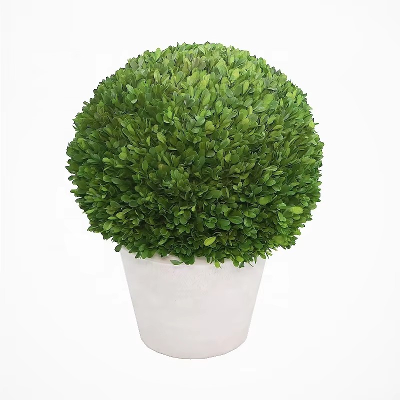 artificial boxwood ball in planter