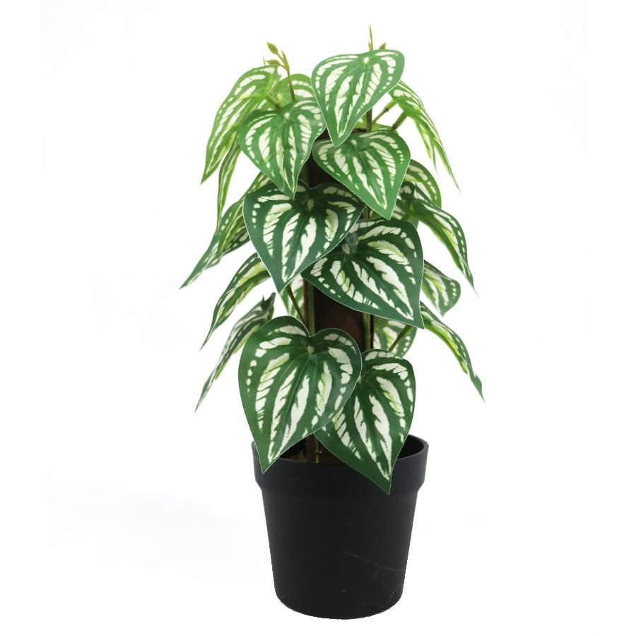Faux Plant Bonsai