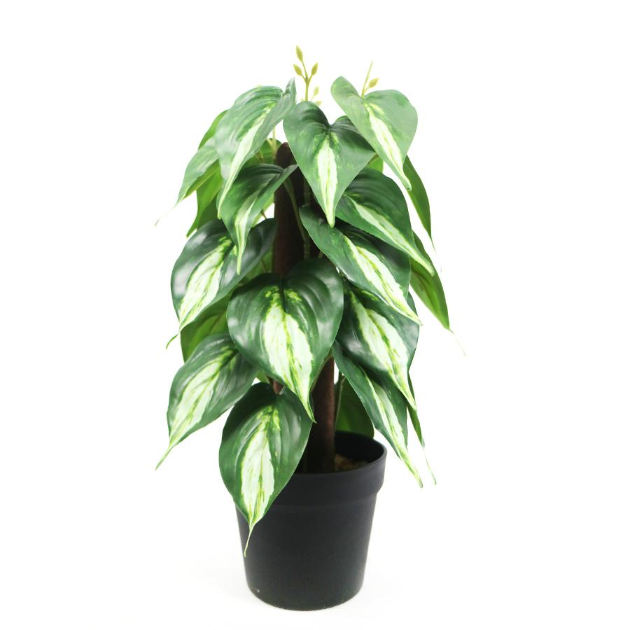artificial pothos plant