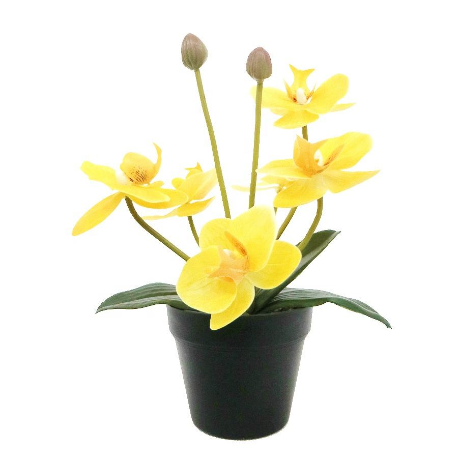 wholesale flower bonsai
