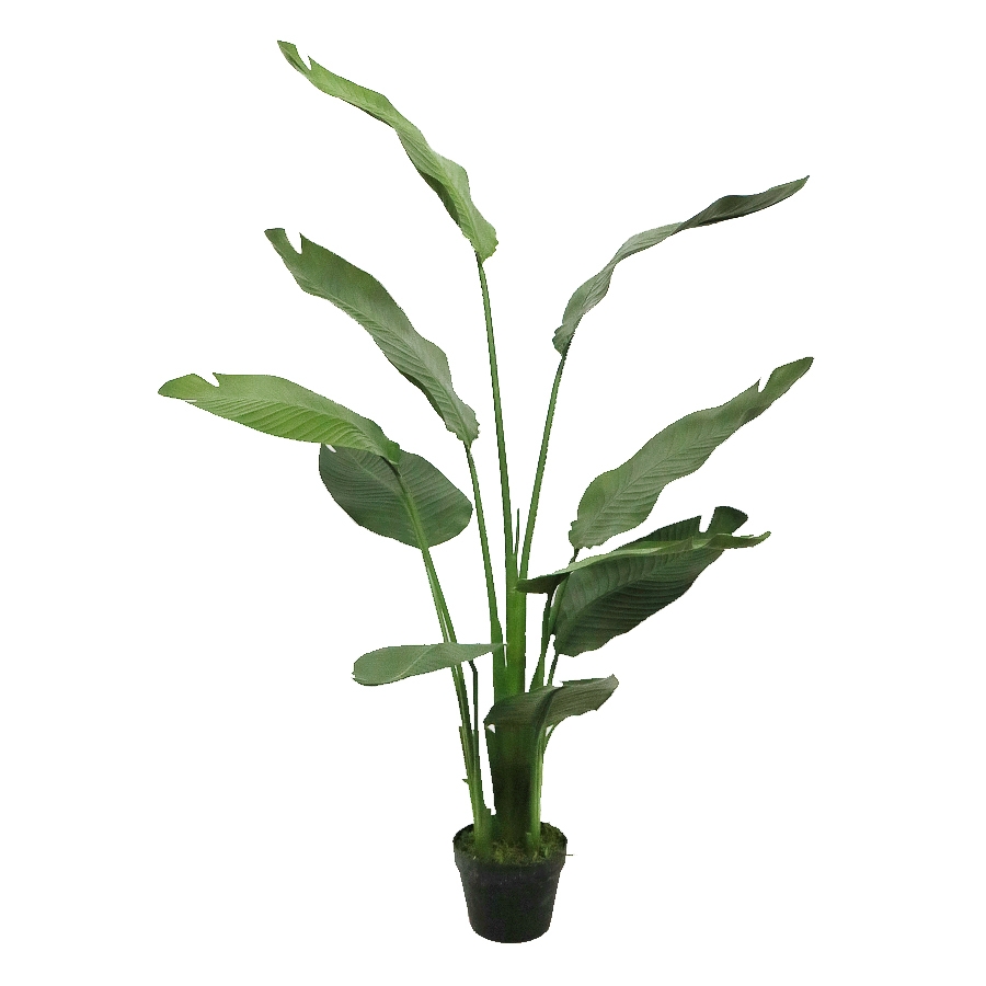 artificial bird of paradise