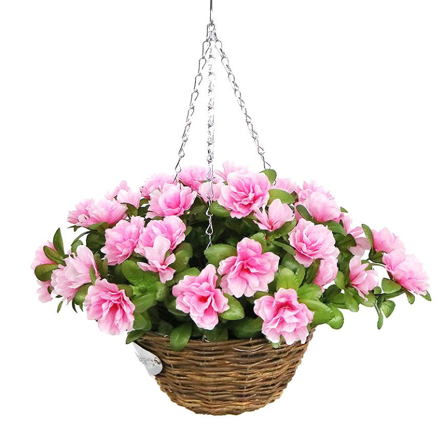 pink hanging flowers pink hanging flowers