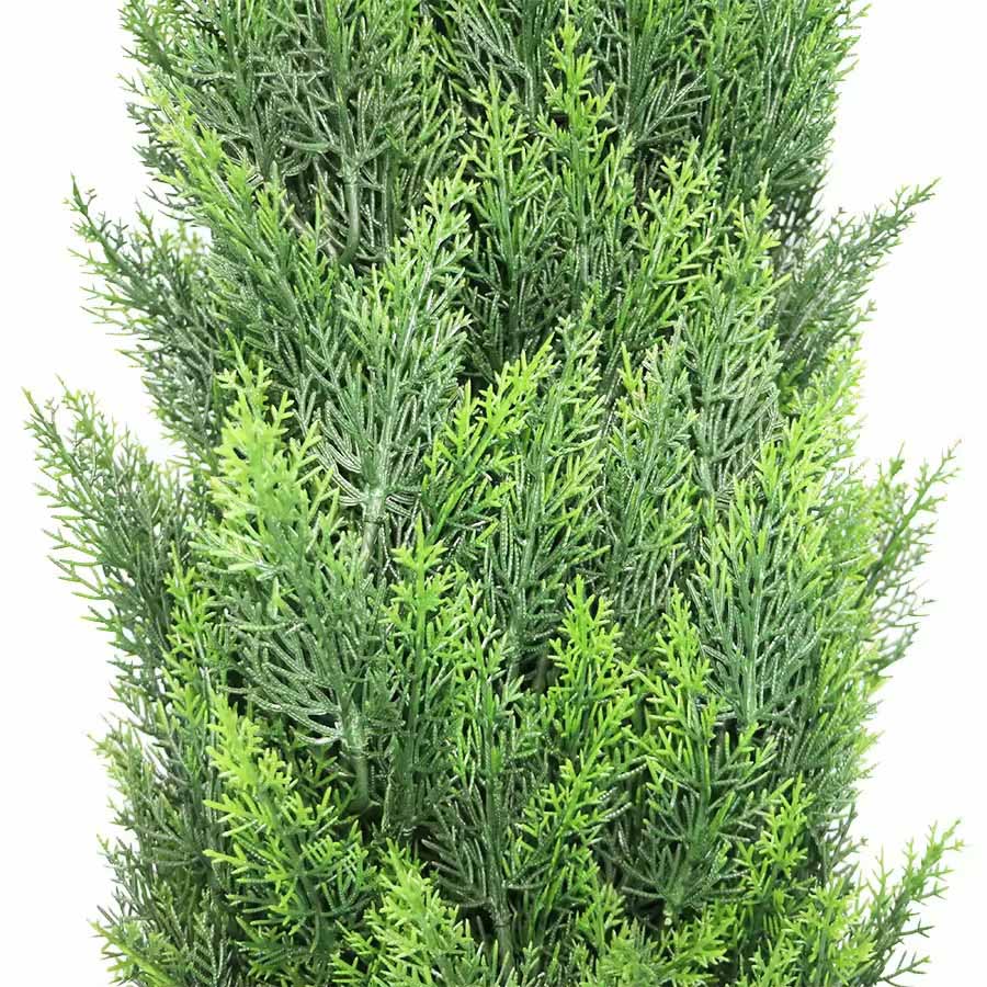 cypress leaves