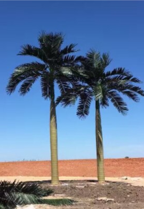 Completed Luxury Hotel Artificial Plant Project | Full Indoor & Outdoor Landscaping Case Study