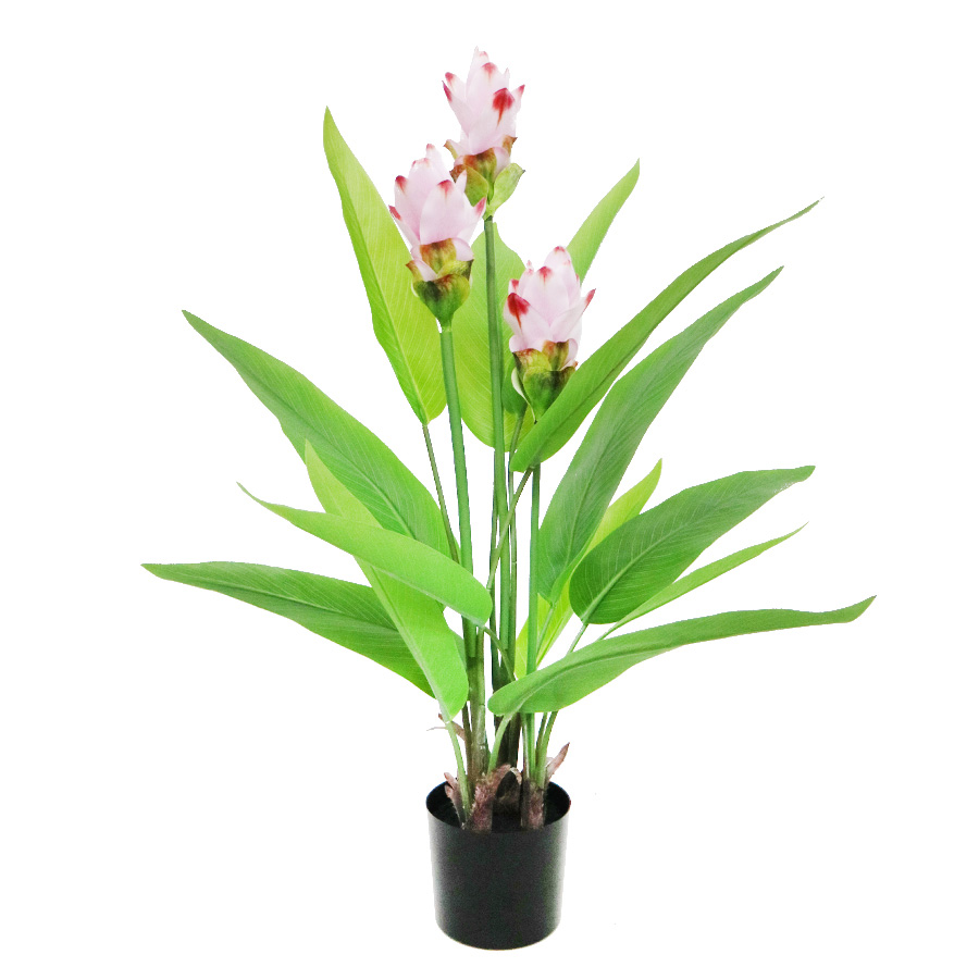 fake curcuma plant fake curcuma plant