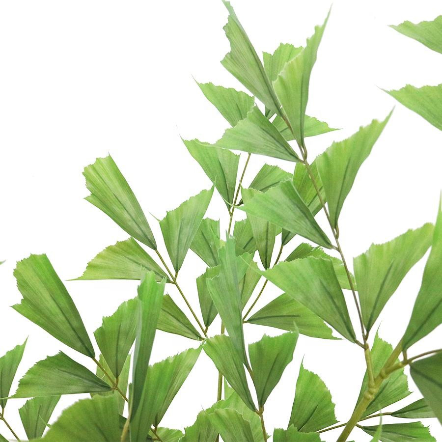 palm leaves