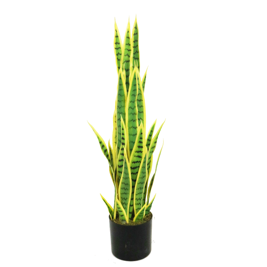 artificial Sansevieria