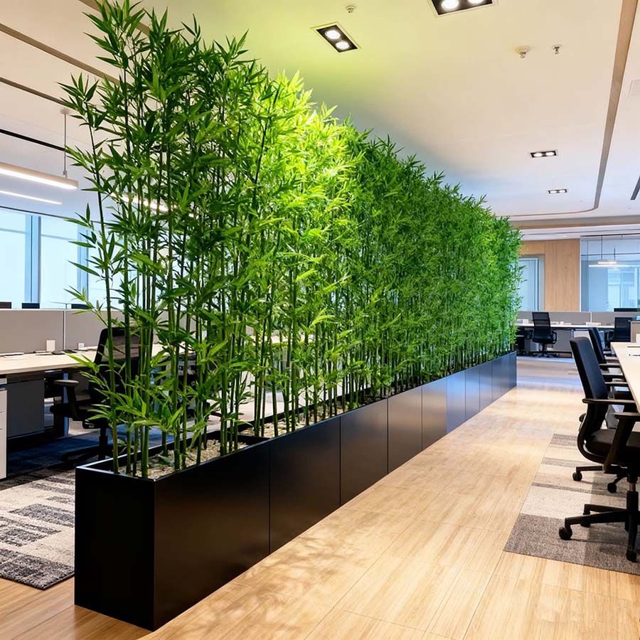 decorative plant decorative plant