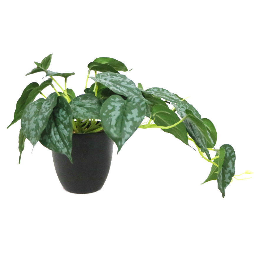 simulation small plant