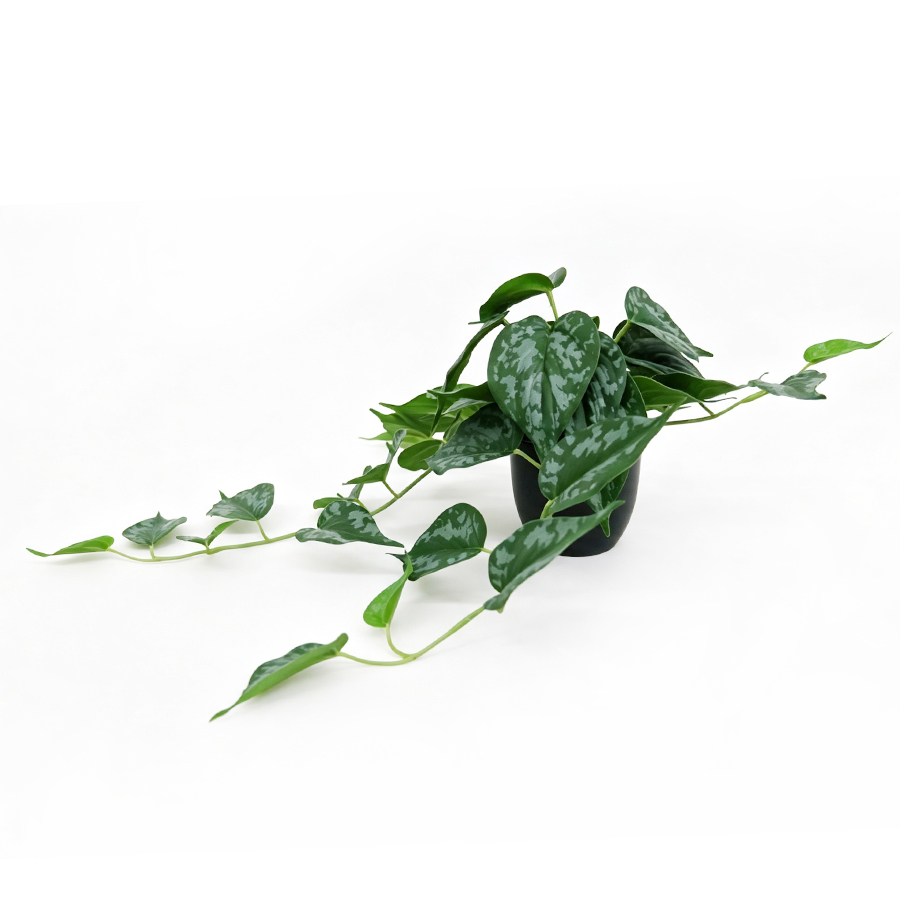 indoor artificial plant 