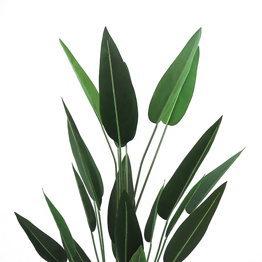 fake canna leaves