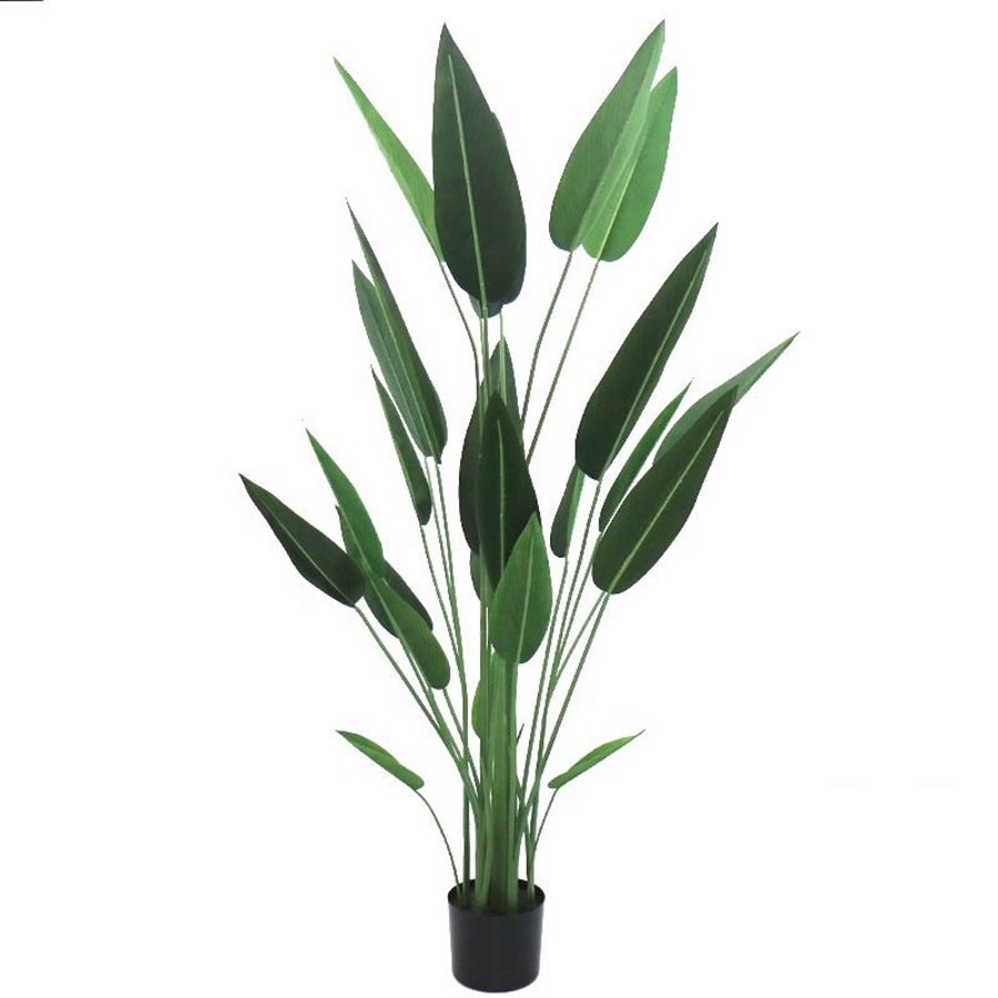 160cm canna tree