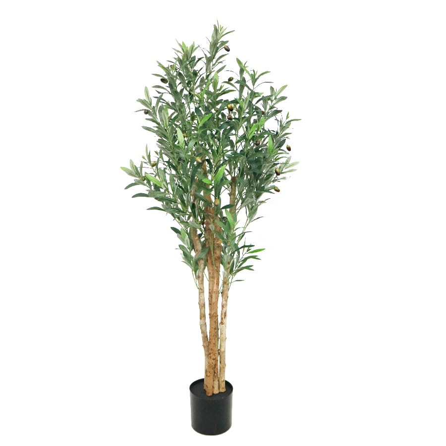 artificial olive tree indoor