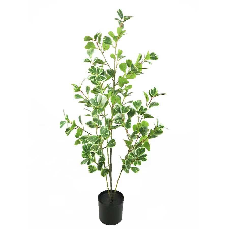 artificial ficus