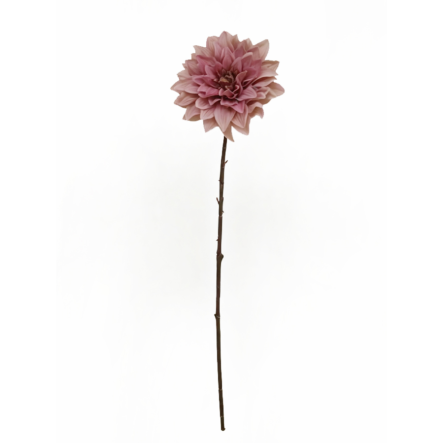 indoor flower stem