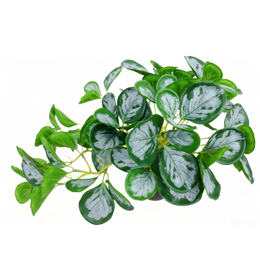 faux peperomia plant