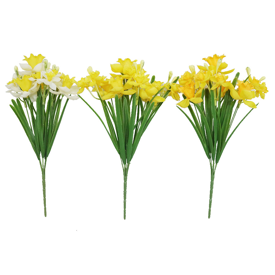 narcissus flowers
